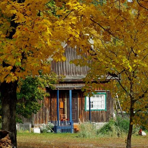 Photo #10175666
