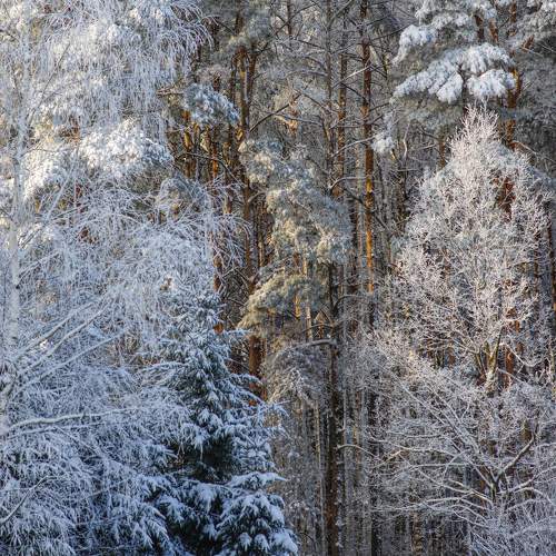 Photo #10175681