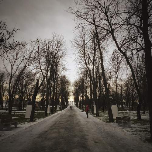 Photo #10175738