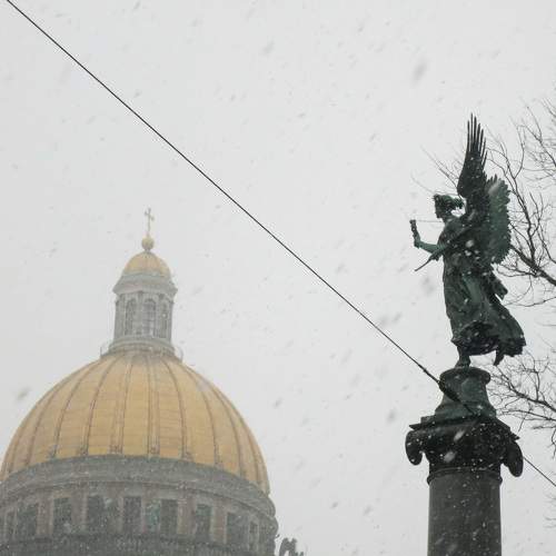 Photo #10175756