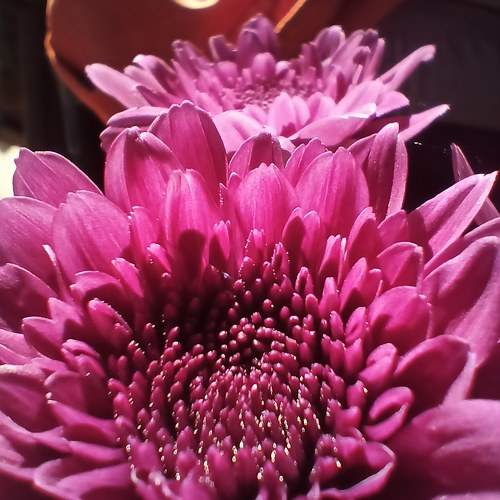 Photo #10175827
