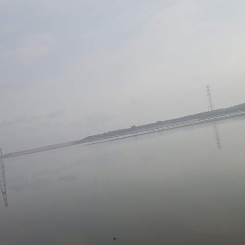 Photo #10175884