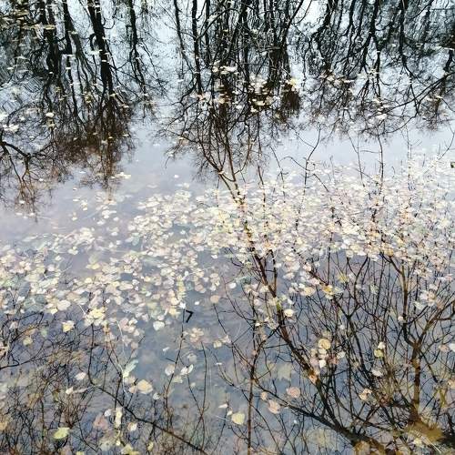 Photo #10175951