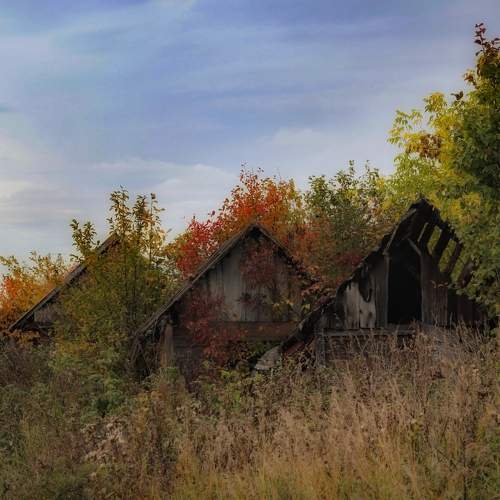 Photo #10175960