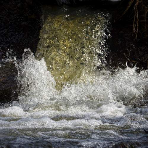 Photo #10176023