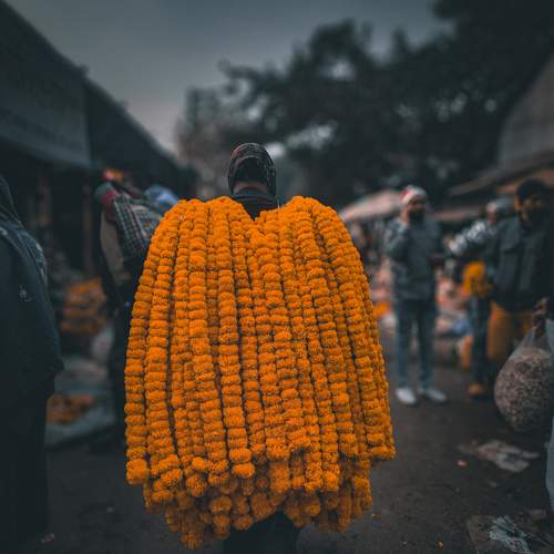Tales of Flower Market....