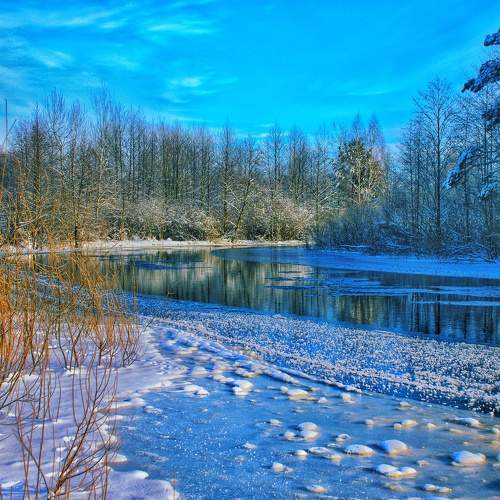 Photo #10176435