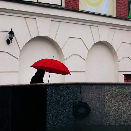 Photo #10176628