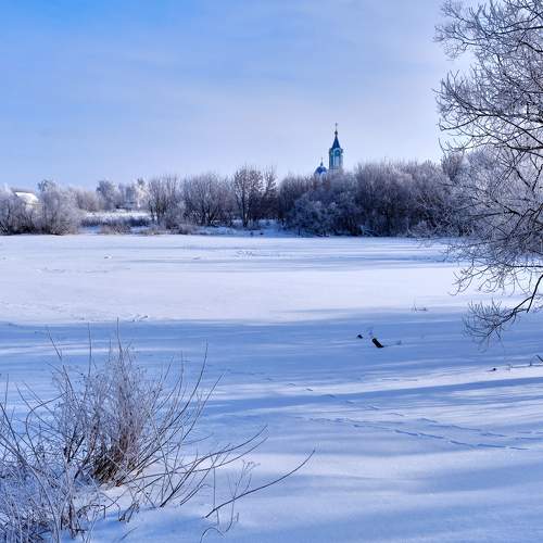Photo #10176676