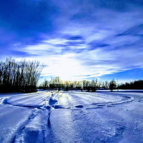 Photo #10176752