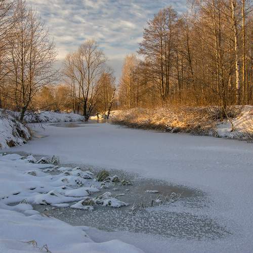 Photo #10177034