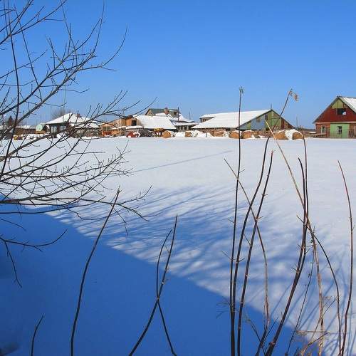 Photo #10177126
