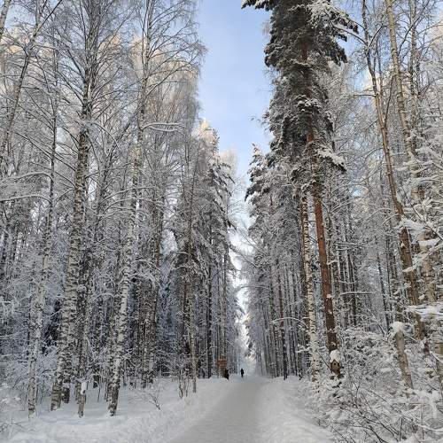 Photo #10177181