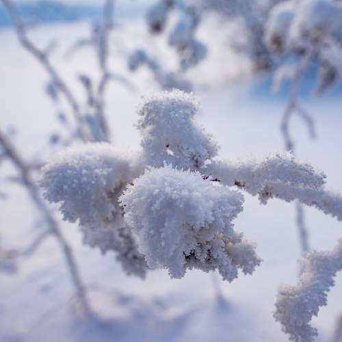 Photo #10177509