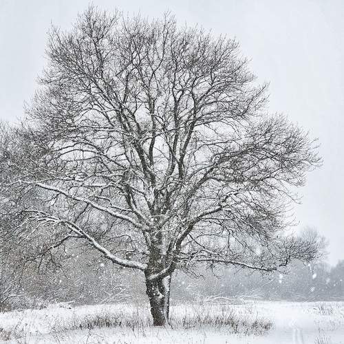 Photo #10178069