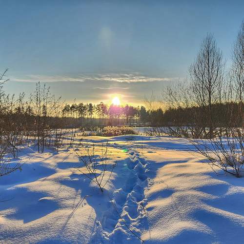 Photo #10178076