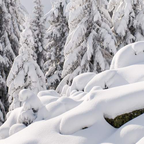 Photo #10178144
