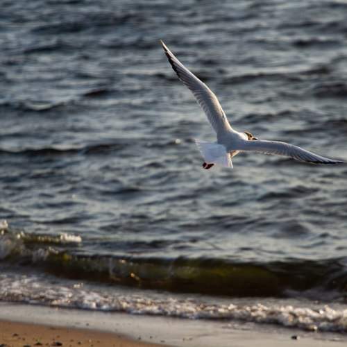 Photo #10178224