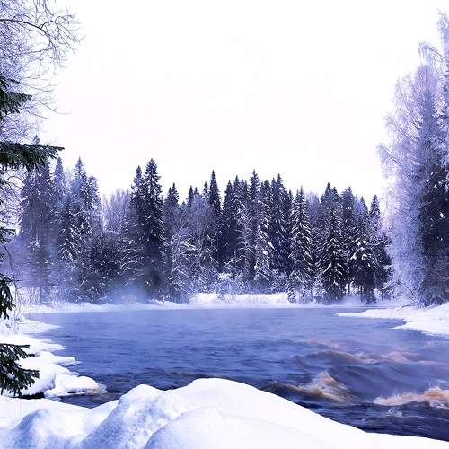 Winter in Karelia, -28С.