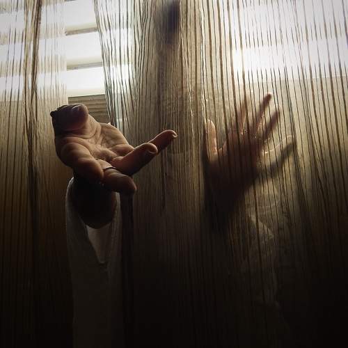Photo #10178482
