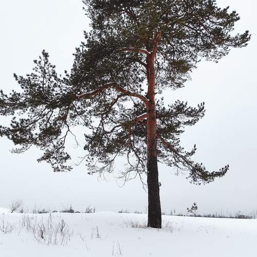 Photo #10178653