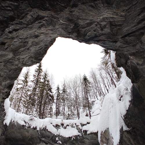 Photo #10178671