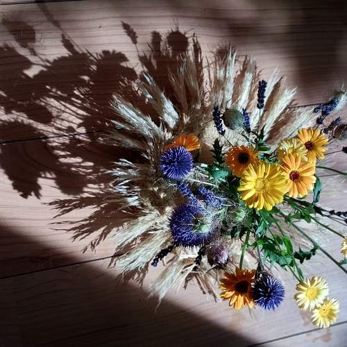 Photo #10179511