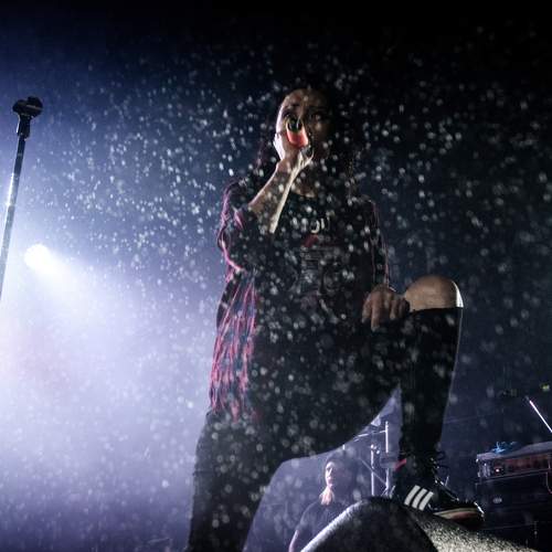 Photo #10179786