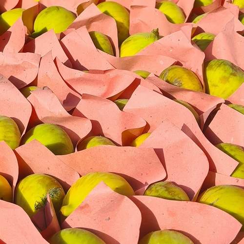 Photo #10180476
