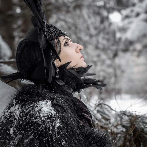Photo #10180539