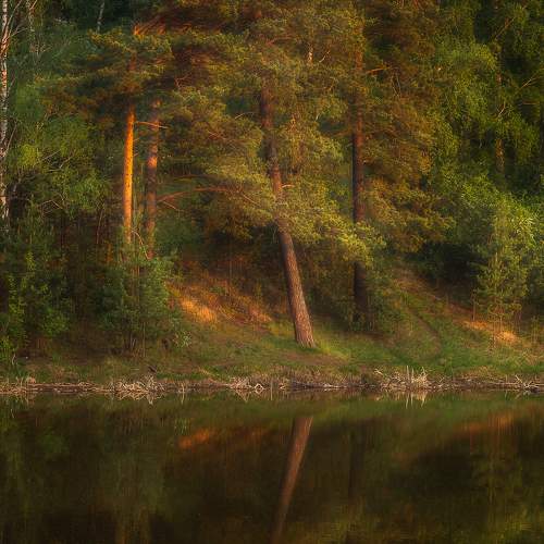 Photo #10180709
