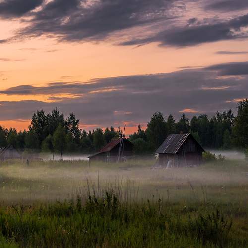 На заре