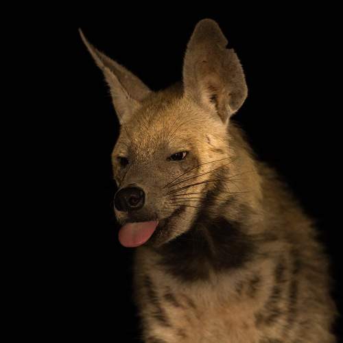 Photo #10181435