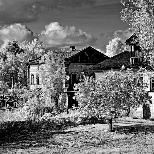 Photo #10181574