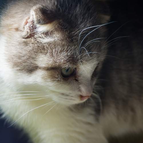 Photo #10181922