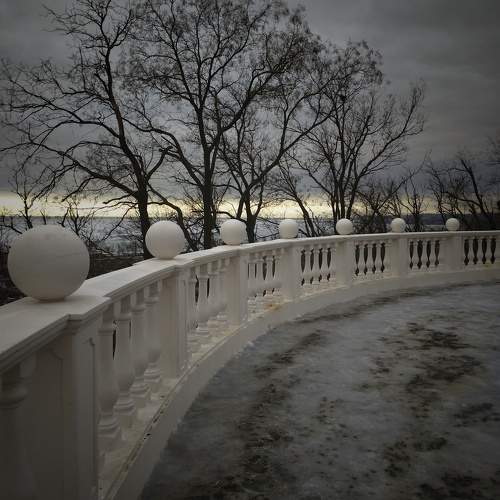 Photo #10183109
