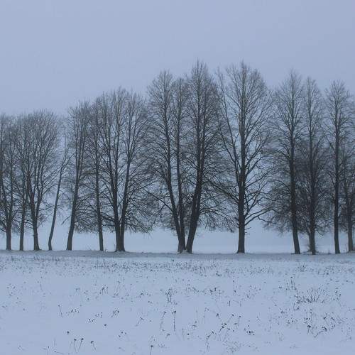 Photo #10183163