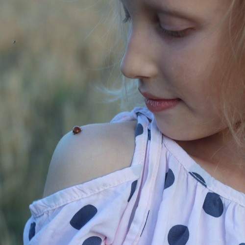 Photo #10183274