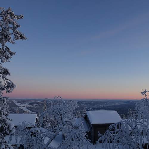 Photo #10183328
