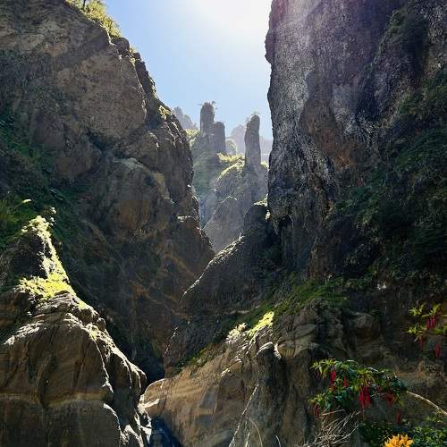 Photo #10183764