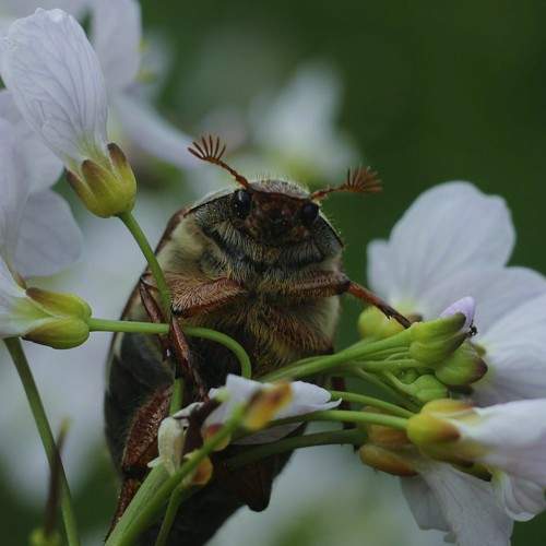 Photo #10183792