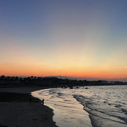 Photo #10183976