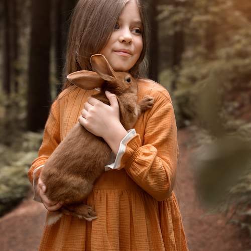 Photo #10184215