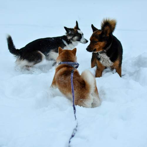 Photo #10184353