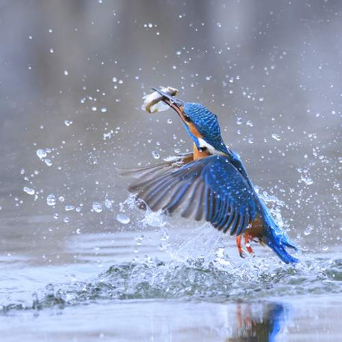 Photo #10184357