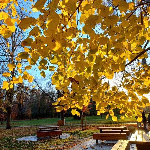 Photo #10184981