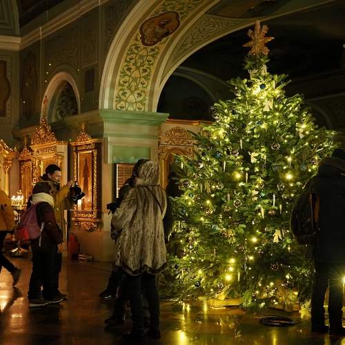 Photo #10185647