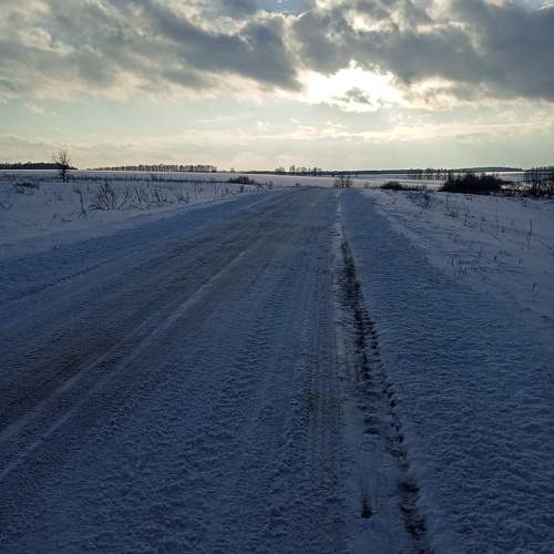 Photo #10185778