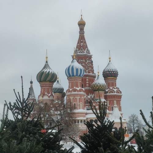 Photo #10185949
