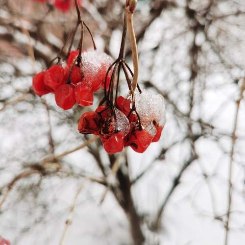 Photo #10185990